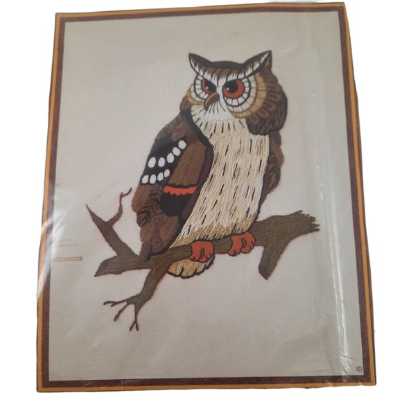 Sunset Designs Majestic Owl Embroidery Craft Kit 16X20 - Picture 1 of 7